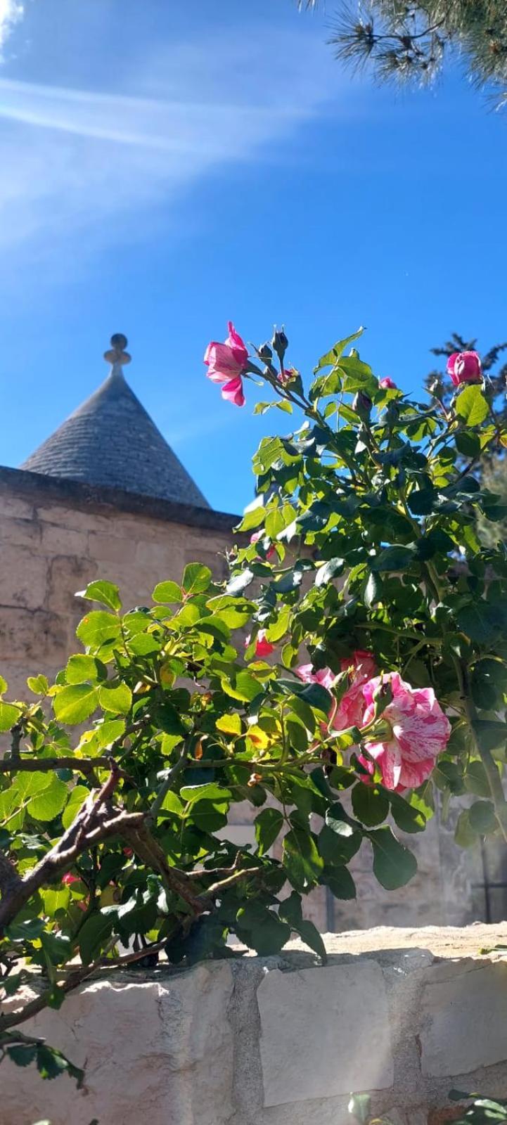 فيلا Il Trullo Delle Rose, Monopoli By Il Pumo Di Puglia Cozzana المظهر الخارجي الصورة