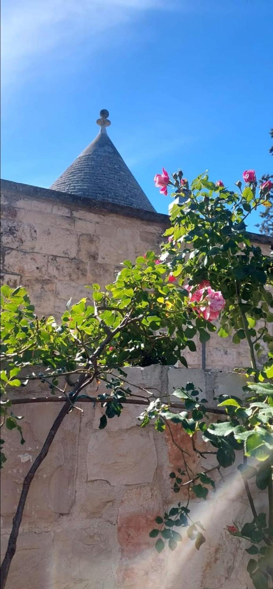 فيلا Il Trullo Delle Rose, Monopoli By Il Pumo Di Puglia Cozzana المظهر الخارجي الصورة